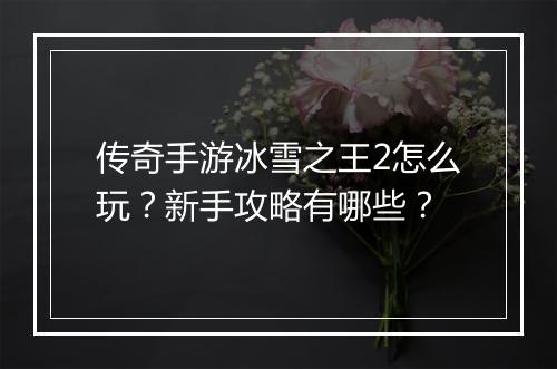 传奇手游冰雪之王2怎么玩？新手攻略有哪些？