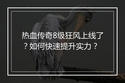 热血传奇8级狂风上线了？如何快速提升实力？