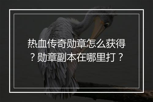 热血传奇勋章怎么获得?勋章副本在哪里打?