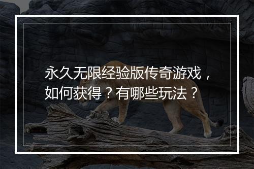 永久无限经验版传奇游戏，如何获得？有哪些玩法？
