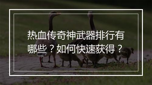 热血传奇神武器排行有哪些？如何快速获得？