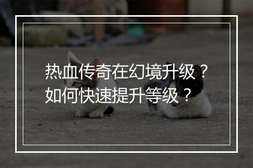 热血传奇在幻境升级？如何快速提升等级？