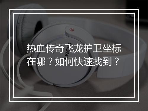 热血传奇飞龙护卫坐标在哪？如何快速找到？