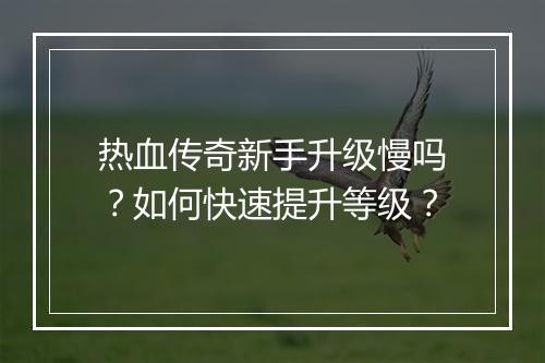 热血传奇新手升级慢吗？如何快速提升等级？