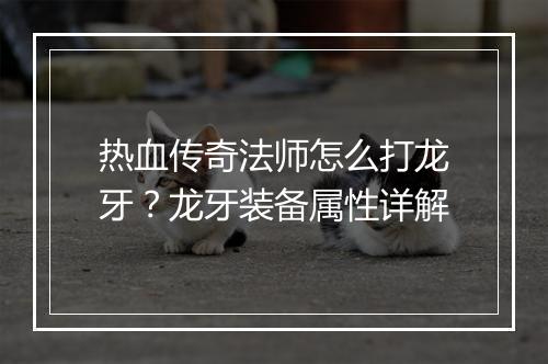 热血传奇法师怎么打龙牙？龙牙装备属性详解