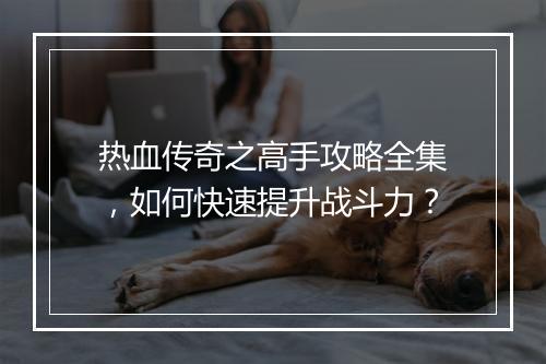 热血传奇之高手攻略全集，如何快速提升战斗力？