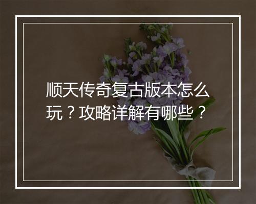 顺天传奇复古版本怎么玩？攻略详解有哪些？