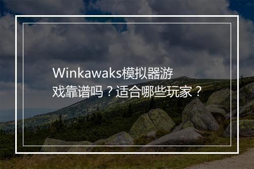 Winkawaks模拟器游戏靠谱吗？适合哪些玩家？