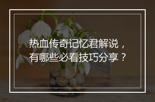 热血传奇记忆君解说，有哪些必看技巧分享？