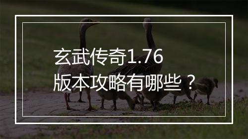 玄武传奇1.76版本攻略有哪些？