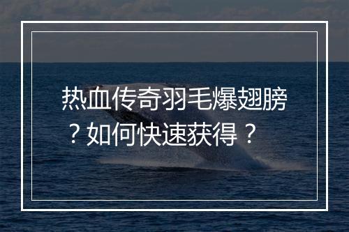 热血传奇羽毛爆翅膀？如何快速获得？