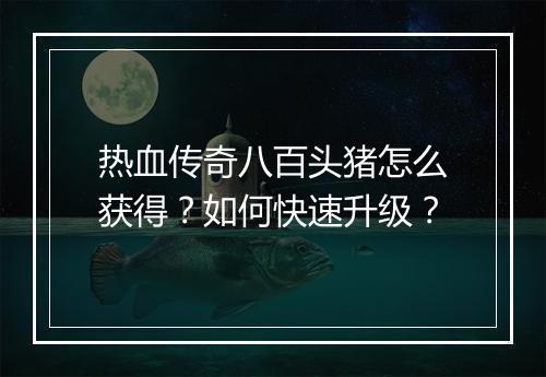 热血传奇八百头猪怎么获得？如何快速升级？
