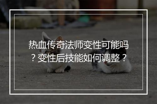 热血传奇法师变性可能吗？变性后技能如何调整？