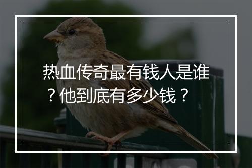 热血传奇最有钱人是谁？他到底有多少钱？