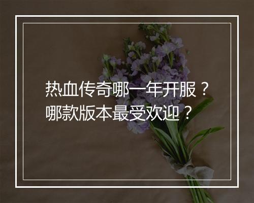热血传奇哪一年开服？哪款版本最受欢迎？