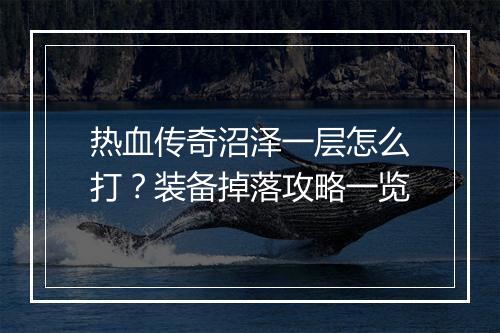热血传奇沼泽一层怎么打？装备掉落攻略一览