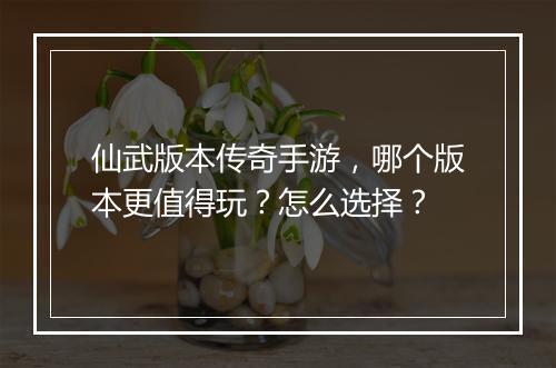 仙武版本传奇手游，哪个版本更值得玩？怎么选择？