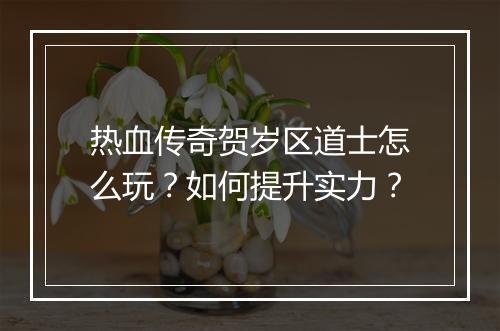 热血传奇贺岁区道士怎么玩？如何提升实力？
