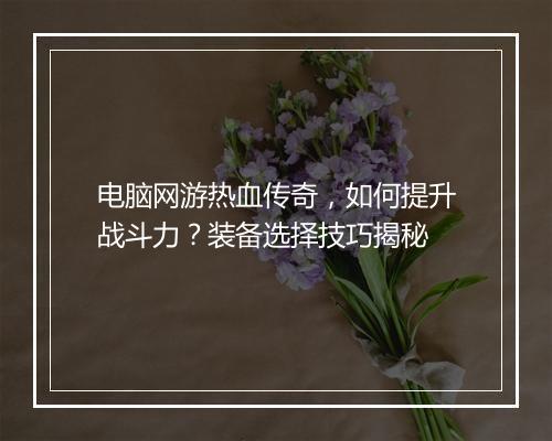 电脑网游热血传奇，如何提升战斗力？装备选择技巧揭秘