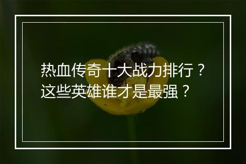 热血传奇十大战力排行？这些英雄谁才是最强？