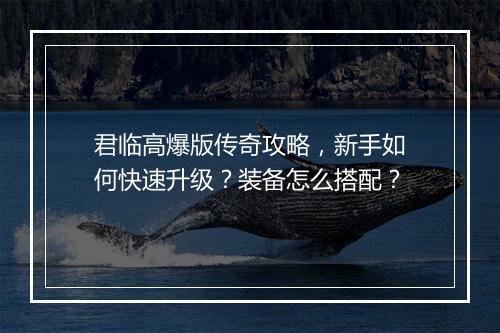 君临高爆版传奇攻略，新手如何快速升级？装备怎么搭配？