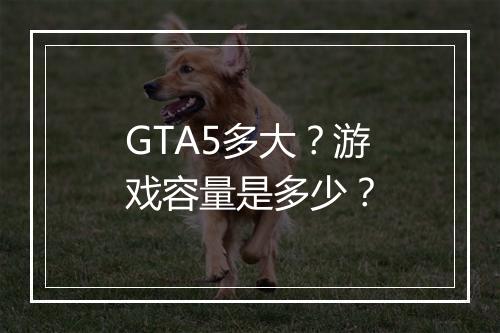 GTA5多大？游戏容量是多少？