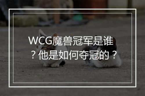 WCG魔兽冠军是谁？他是如何夺冠的？