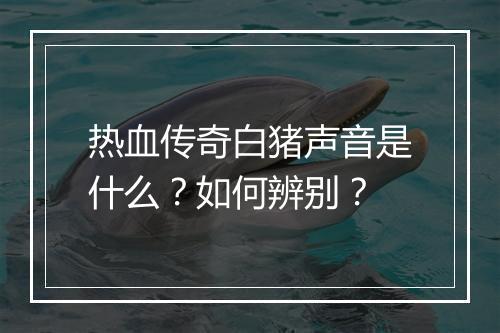 热血传奇白猪声音是什么？如何辨别？