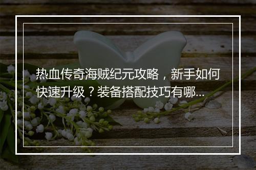 热血传奇海贼纪元攻略，新手如何快速升级？装备搭配技巧有哪些？