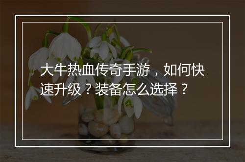 大牛热血传奇手游，如何快速升级？装备怎么选择？