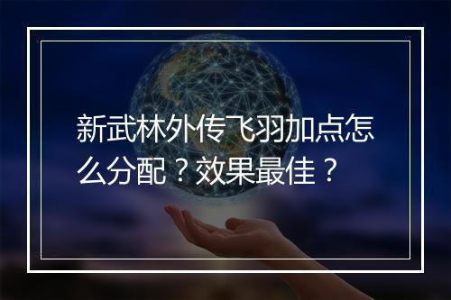 新武林外传飞羽加点怎么分配？效果最佳？