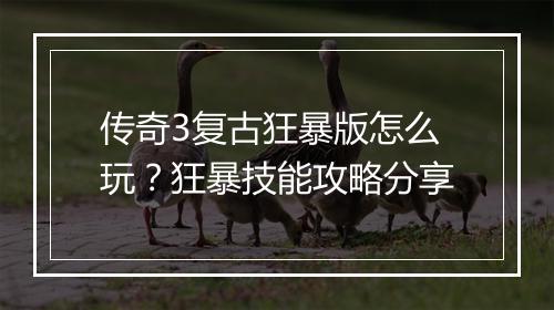 传奇3复古狂暴版怎么玩？狂暴技能攻略分享