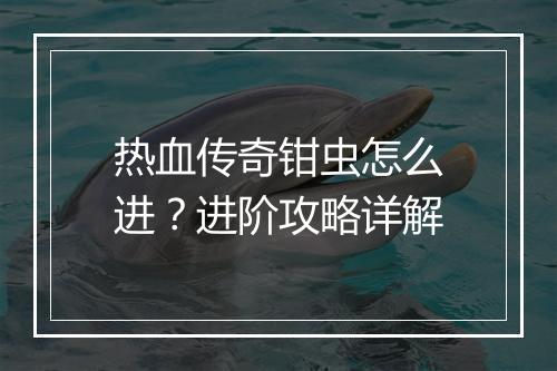 热血传奇钳虫怎么进？进阶攻略详解