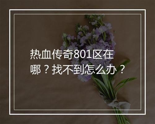 热血传奇801区在哪？找不到怎么办？