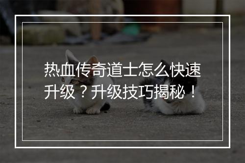 热血传奇道士怎么快速升级？升级技巧揭秘！