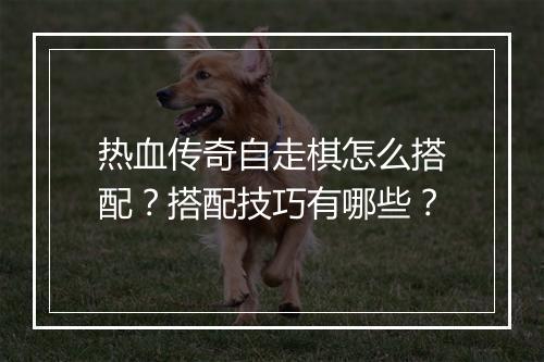 热血传奇自走棋怎么搭配？搭配技巧有哪些？