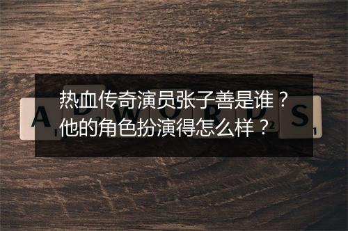 热血传奇演员张子善是谁？他的角色扮演得怎么样？
