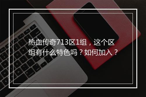 热血传奇713区1组，这个区组有什么特色吗？如何加入？