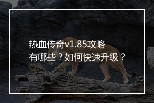 热血传奇v1.85攻略有哪些？如何快速升级？