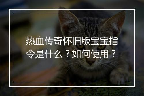 热血传奇怀旧版宝宝指令是什么？如何使用？