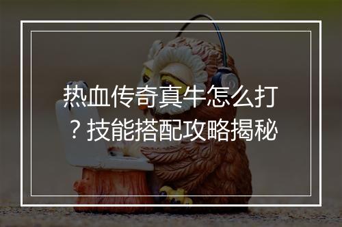 热血传奇真牛怎么打？技能搭配攻略揭秘