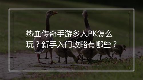 热血传奇手游多人PK怎么玩?新手入门攻略有哪些?