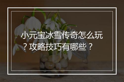 小元宝冰雪传奇怎么玩？攻略技巧有哪些？