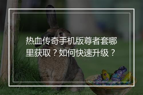 热血传奇手机版尊者套哪里获取？如何快速升级？