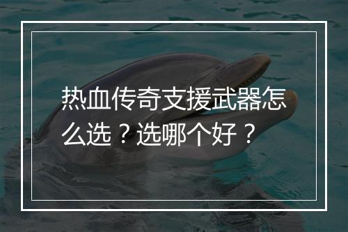 热血传奇支援武器怎么选？选哪个好？
