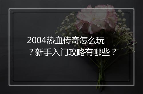 2004热血传奇怎么玩？新手入门攻略有哪些？