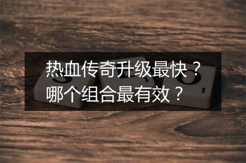 热血传奇升级最快？哪个组合最有效？
