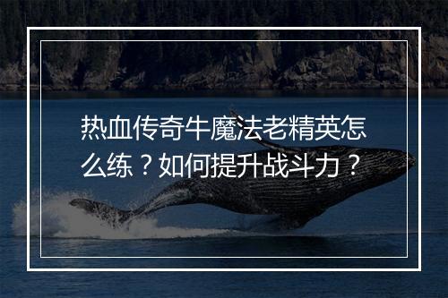 热血传奇牛魔法老精英怎么练？如何提升战斗力？