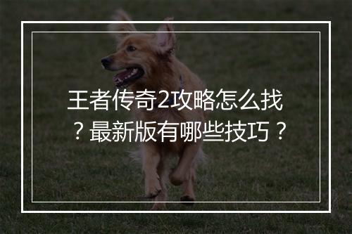 王者传奇2攻略怎么找？最新版有哪些技巧？