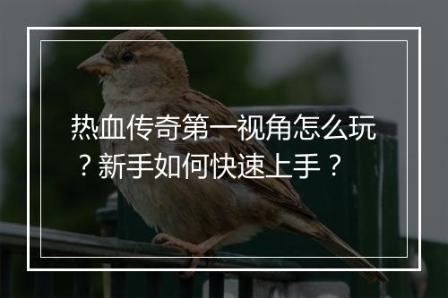 热血传奇第一视角怎么玩？新手如何快速上手？
